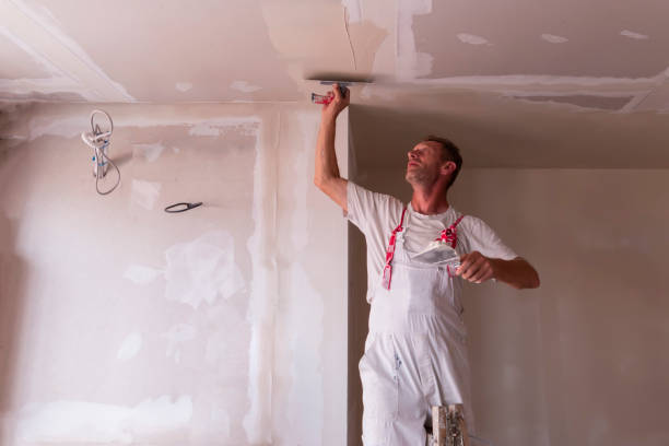  Chicago Heights, IL Painting & Drywall Services Pros